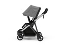 Silla de Paseo Thule Shine