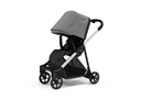 Silla de Paseo Thule Shine